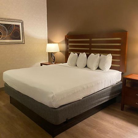 Wyndham Garden Grand Rapids Airport Hotel Eksteriør billede