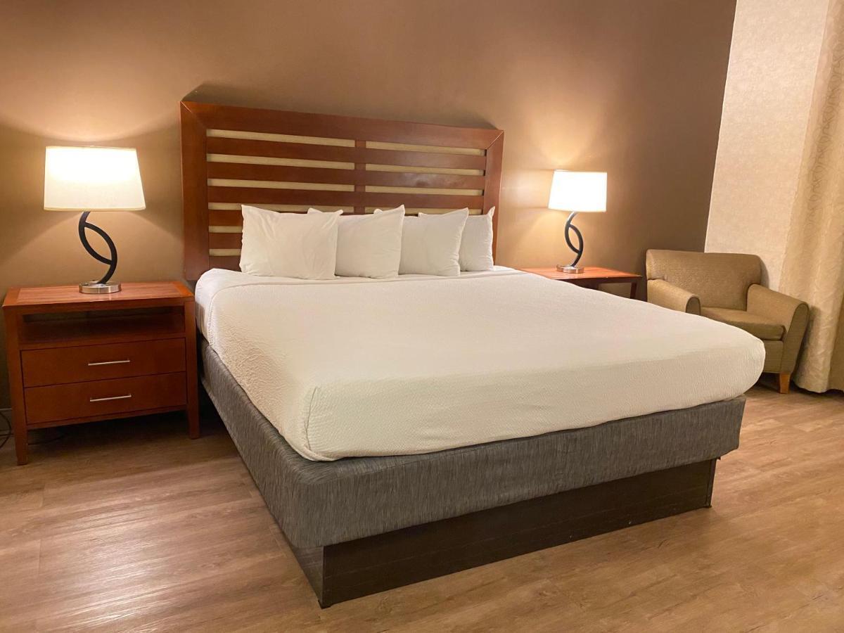 Wyndham Garden Grand Rapids Airport Hotel Eksteriør billede