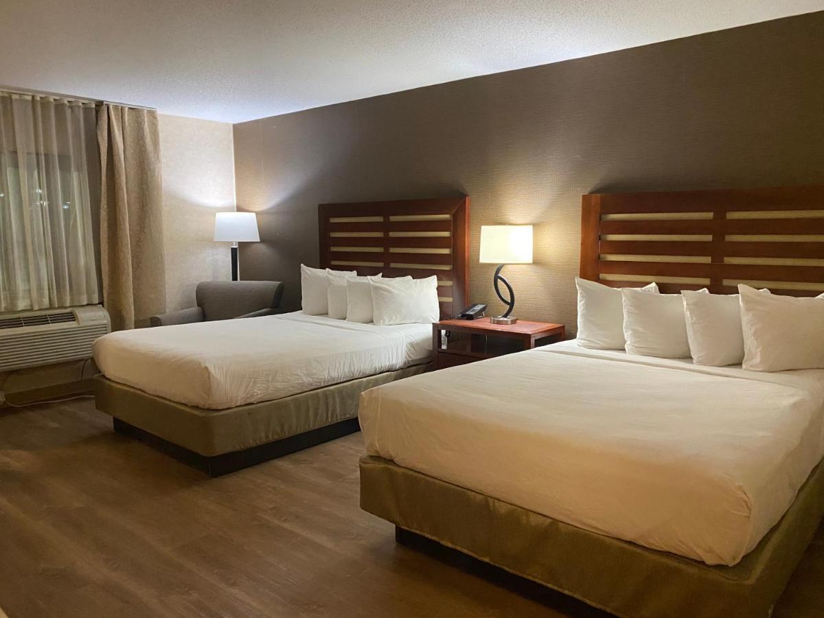 Wyndham Garden Grand Rapids Airport Hotel Eksteriør billede