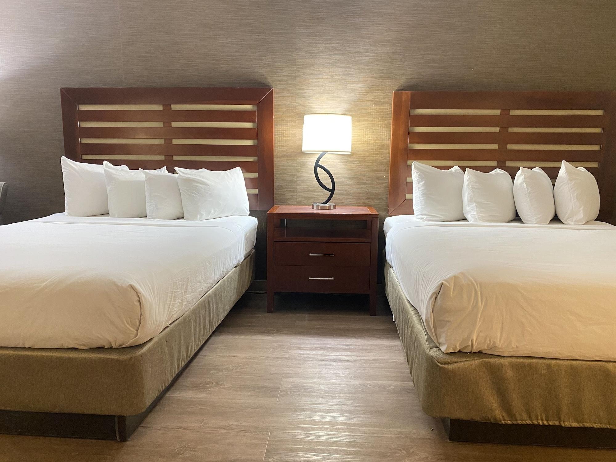 Wyndham Garden Grand Rapids Airport Hotel Eksteriør billede